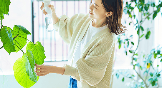 美容は気にかけたいけどズボラな私でも続けられる
